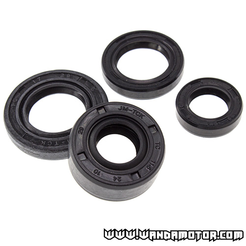 Oil seal kit Zongshen 155